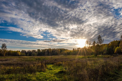 Scenic view of field against sky during sunset