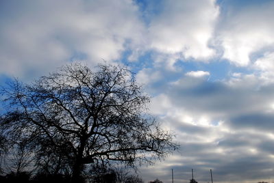 Low angle view of bare trees against cloudy sky