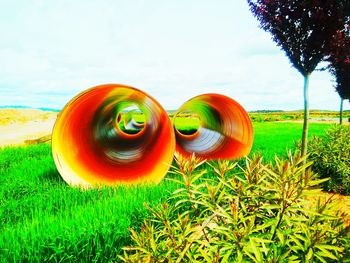 View of grassy field against sky