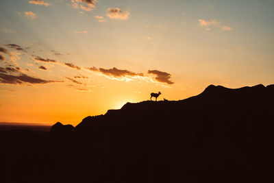 Silhouette animal standing on mountain against sky during sunset