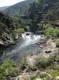 Scenic view of waterfall in forest