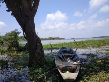 Scenic view of river amidst trees against sky