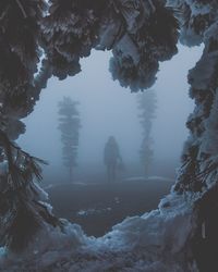 Rear view of silhouette woman standing in forest during foggy weather