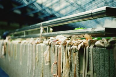 Close-up of books on shelf