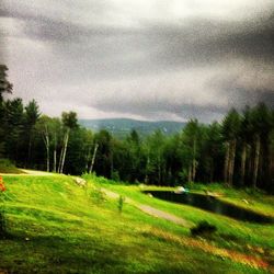 Scenic view of grassy field against cloudy sky