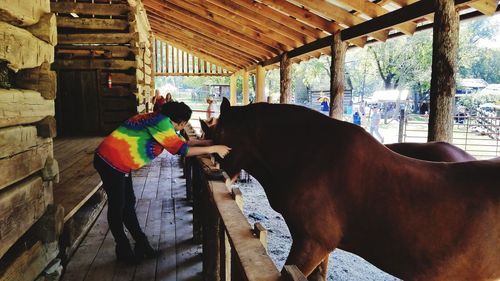 Side view of man standing by horse in stable