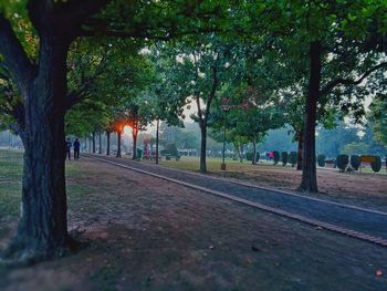 Street amidst trees in park