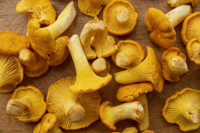 High angle view of chopped mushrooms