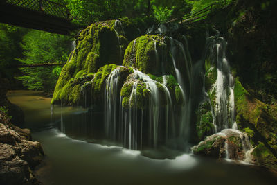 Scenic view of waterfall in forest