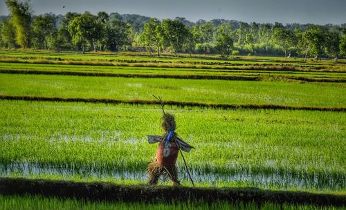 Scarecrow on agricultural field