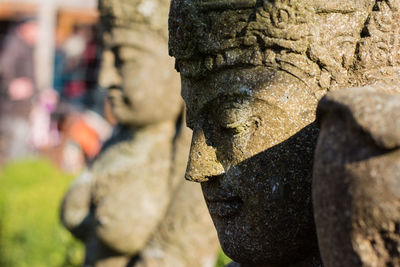 Close-up of plant against blurred background