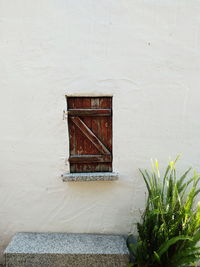 Potted plant on wall of building.wood window