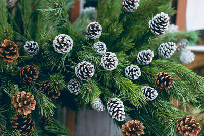 Simple christmas decoration in a christmas tree shop. pine branches with natural and painted white