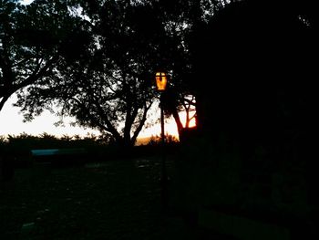 Silhouette trees against sky during sunset