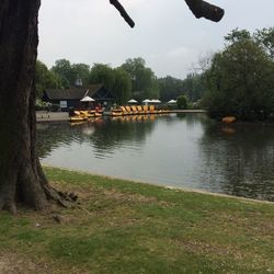 Calm lake with trees in background