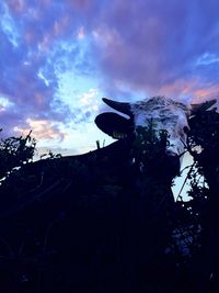 Low angle view of silhouette trees against sky