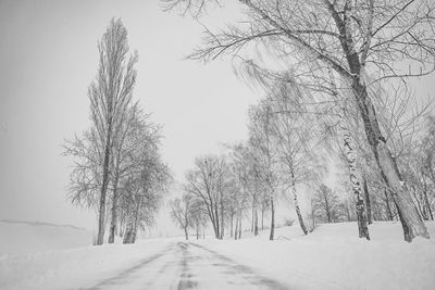 Snow covered road amidst bare trees against sky