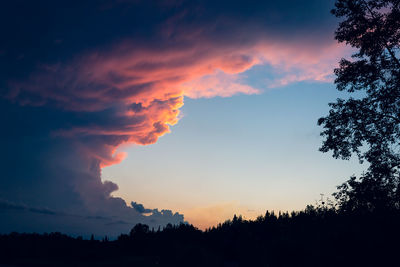 Low angle view of silhouette trees against sky during sunset