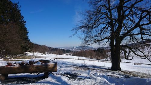 Bare trees on snow covered landscape against sky