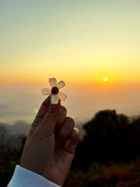 Cropped hand holding flower against sky during sunset