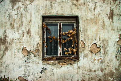 Closed door of old building