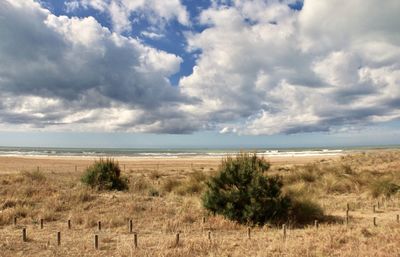 Scenic view of land against sky