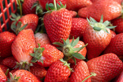 Full frame shot of strawberries