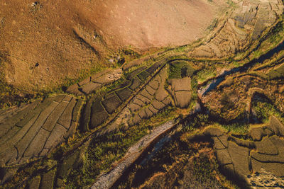Aerial view of landscape