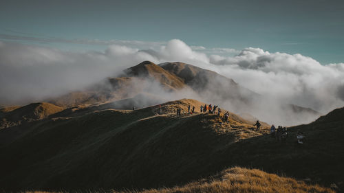 environment