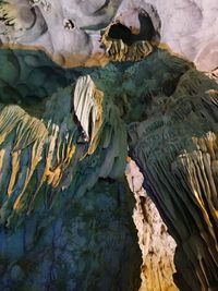 Close-up of iguana on rock in cave