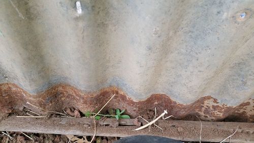 High angle view of fence on land