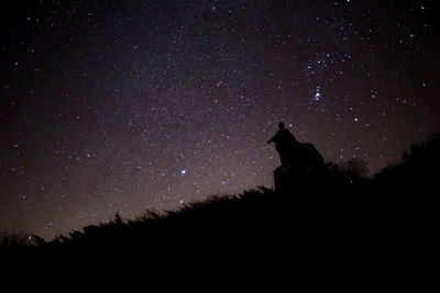 Low angle view of silhouette statue against sky at night