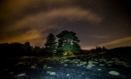 Trees on field against sky at night