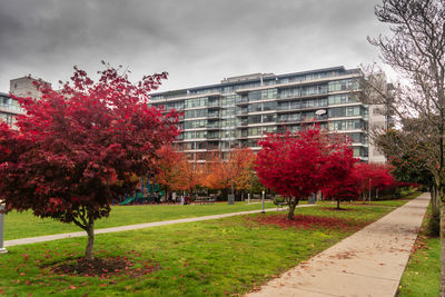 Trees and plants in park by buildings against sky