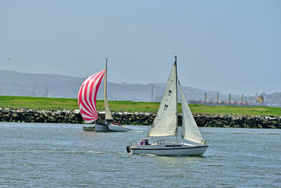 Sailboat sailing in sea against clear sky