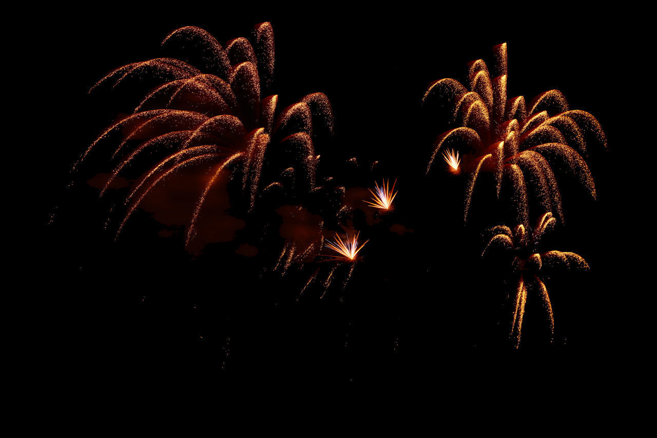 LOW ANGLE VIEW OF FIREWORK DISPLAY