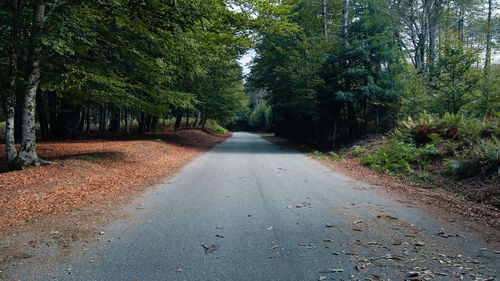 Mountain road in autumn season