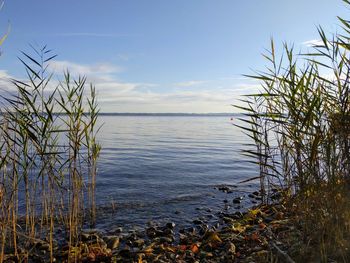 Scenic view of lake against sky