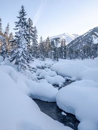 Snow covered land and trees against sky