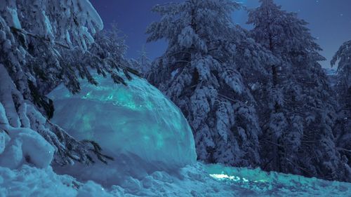 Igloo by snow covered trees on mountain