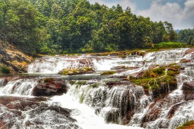 Scenic view of waterfall in forest