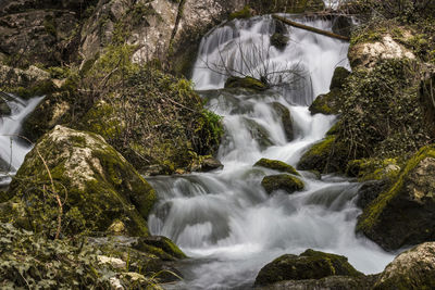 Scenic view of waterfall in forest