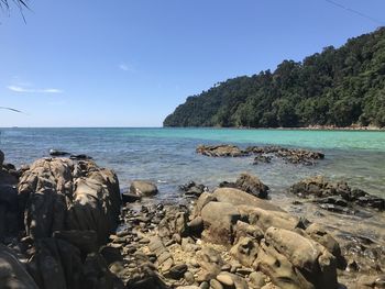 Scenic view of sea against sky