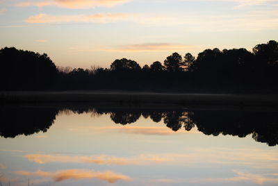 Reflection of trees in water