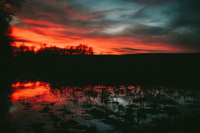 Silhouette trees by lake against sky during sunset