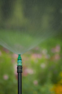 Water from sprinkler in the public park