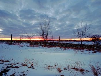 Bare trees on snow field against sky during sunset