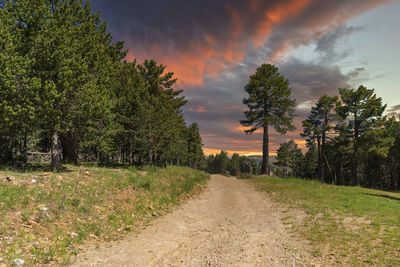 Dirt road amidst trees on field against sky at sunset