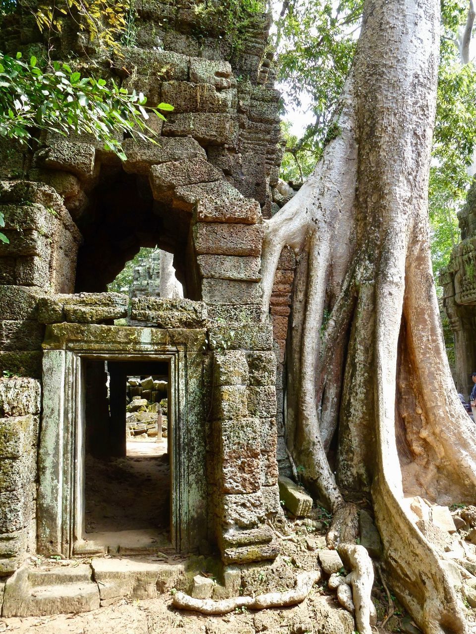 VIEW OF BUDDHA STATUE