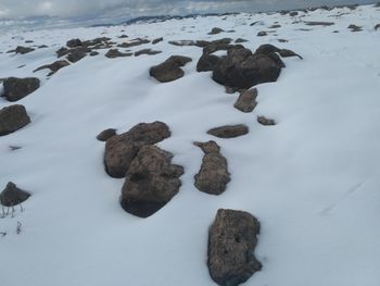 High angle view of rocks on shore during winter